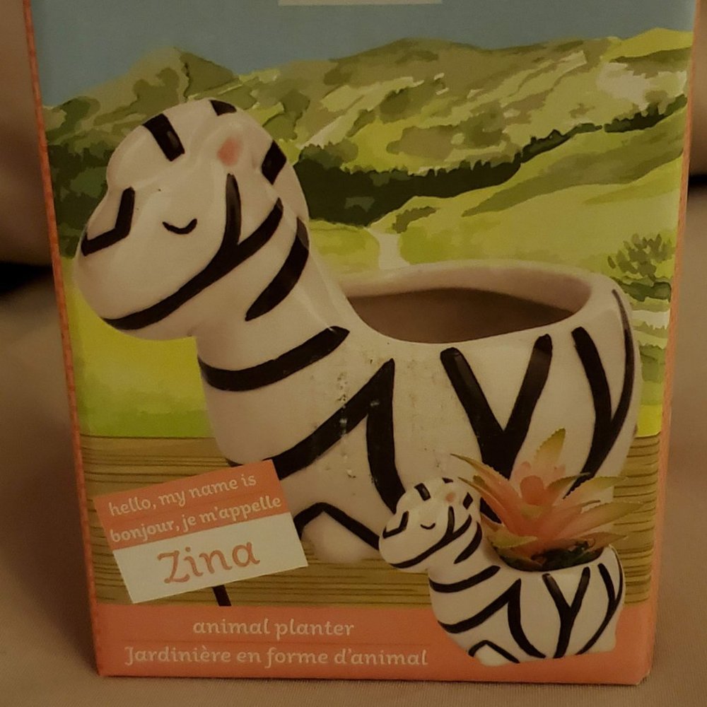 Zebra Plant Pot, Ceramic Animal Planter for Succulents or Air Plants - Picture 2 of 7
